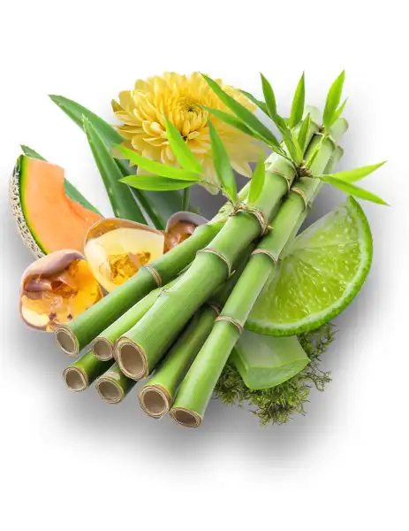 Himalayan Bamboo Clean Fragrance - Clean Fragrances